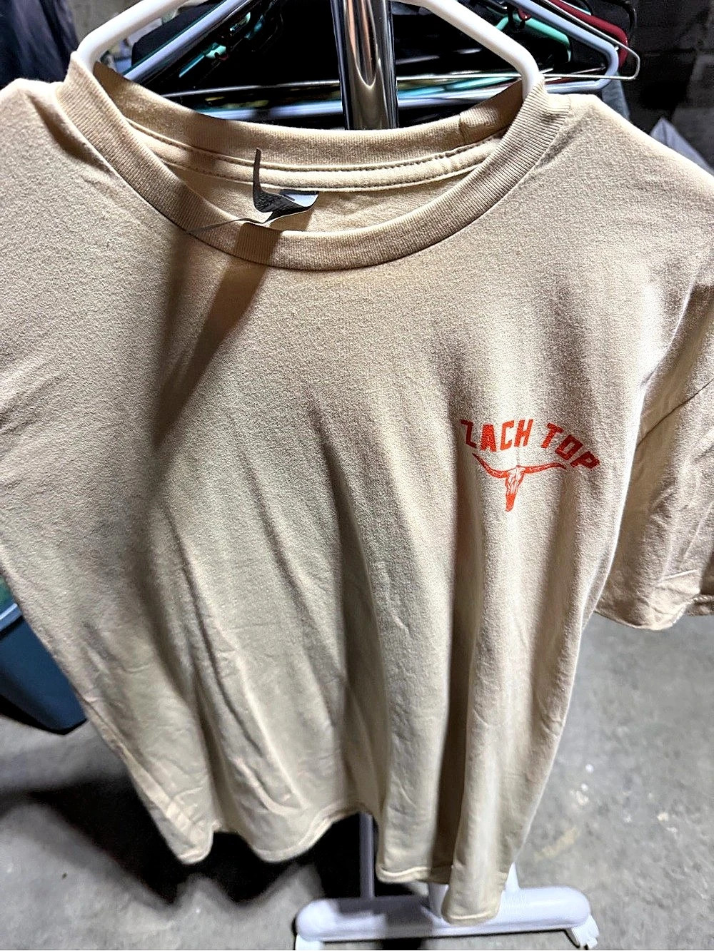 Zach Top Graphic Tee in Tan